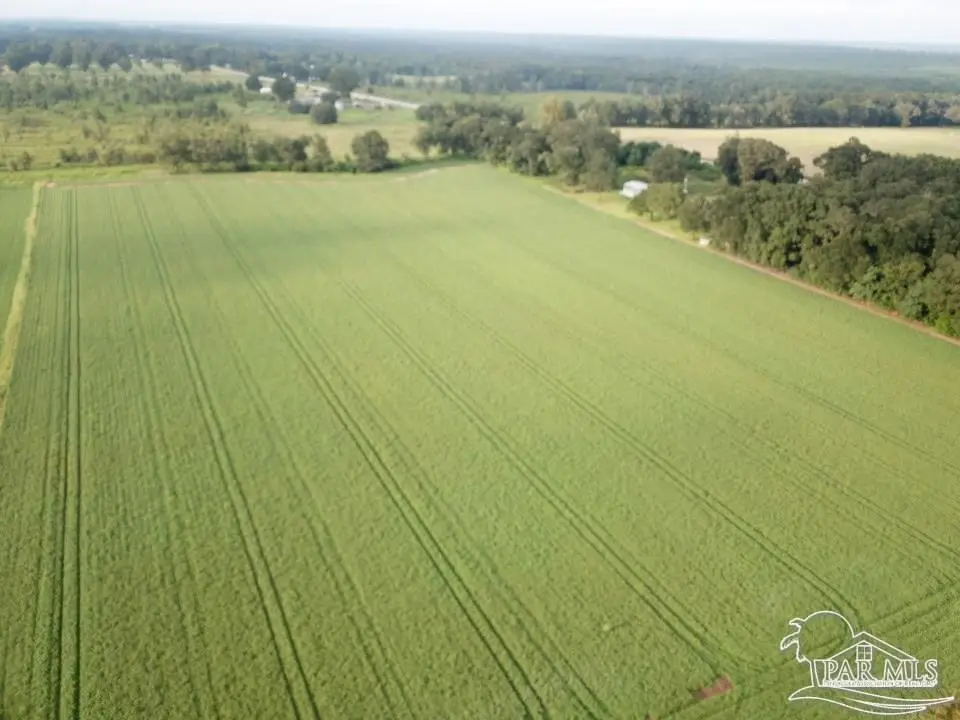 4+ acres Hwy 87, Milton, FL 32570 - #1