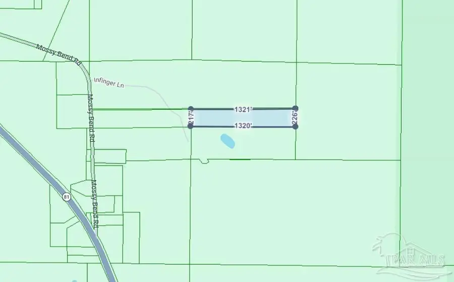 00 Mossy Bend Rd, Ponce De Leon, FL 32455 - #3