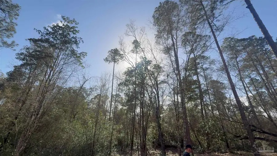 00 Native Creek Rd, Milton, FL 32571 - #2