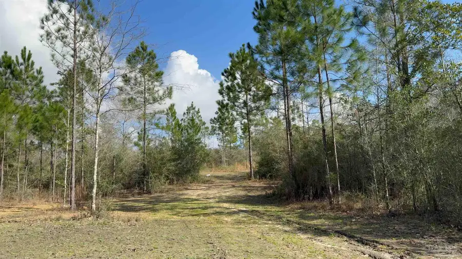 00 Native Creek Rd, Milton, FL 32571 - #3