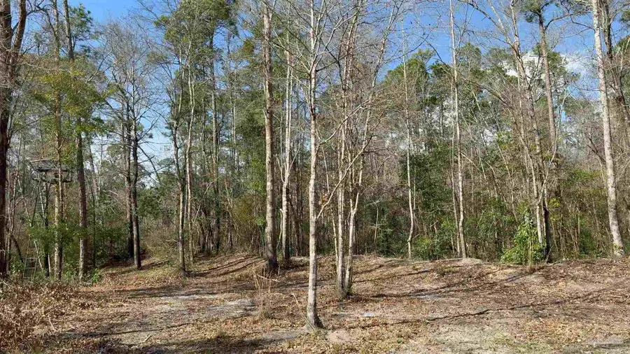 000 Native Creek Rd, Milton, FL 32571 - #2