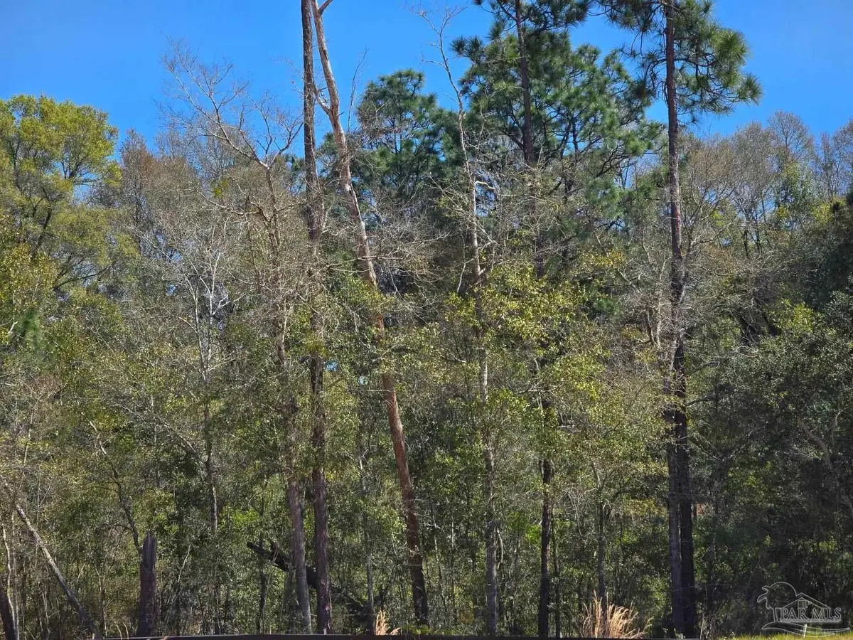 0000 School St, Bagdad, FL 32583 - #1