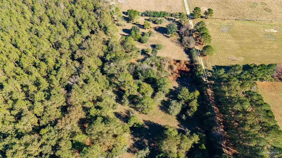 1756 Jacks Branch Rd, Cantonment, FL 32533 - #3