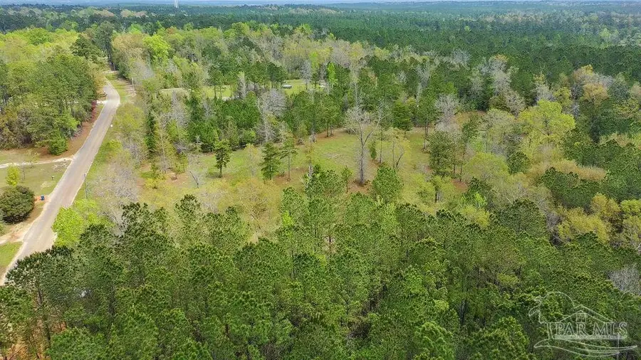 4.5 Acres Dixon Nursery Rd, Brewton, AL 36426 - #3