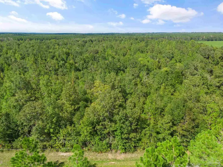 Parcel 14 Sid Hayes Rd, Jay, FL 32565 - #2
