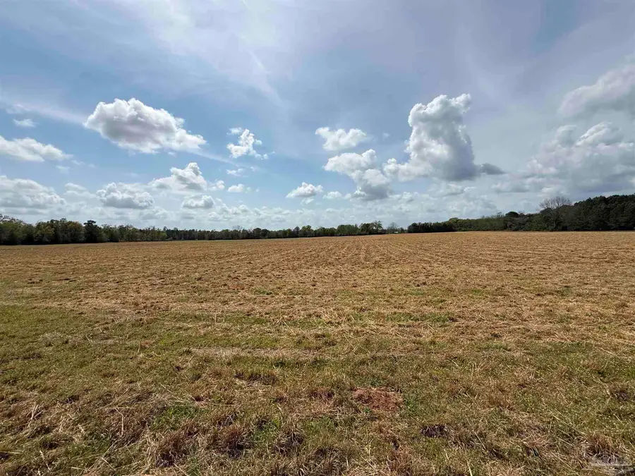 00 Green Rd, Baker, FL 32531 - #2