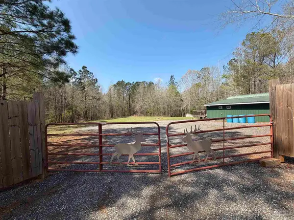 00 Mixonville Rd, Mckenzie, AL 36456