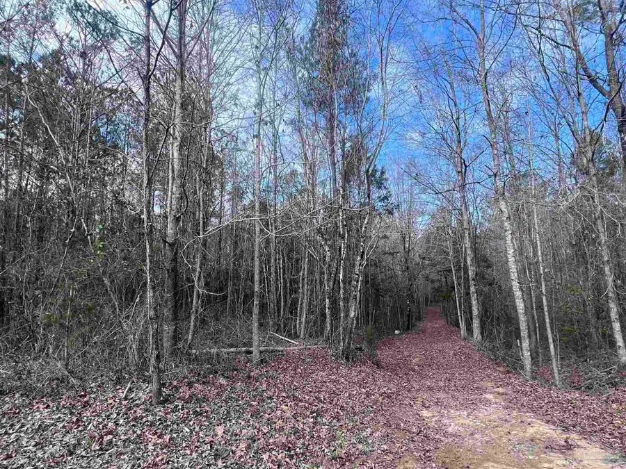 00 Mixonville Rd, McKenzie, AL 36456 - #2