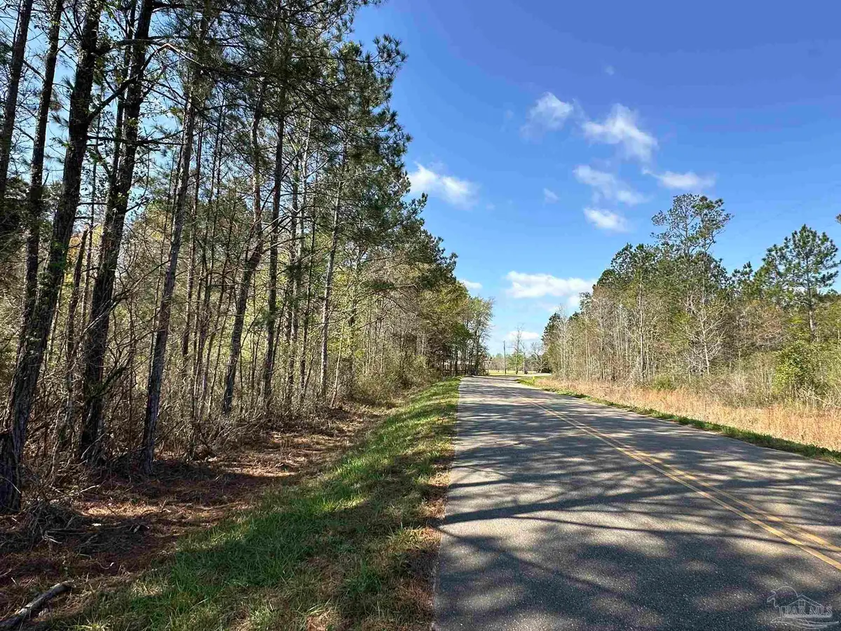 Parcel A Snider Rd, Frisco City, AL 36445 - #1