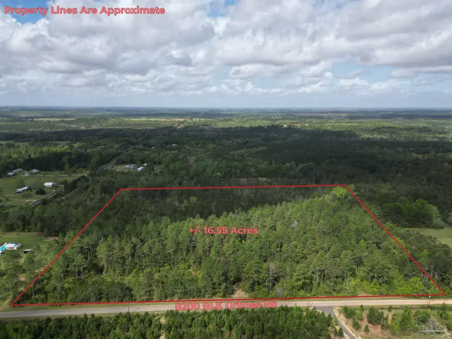8200 BLK Grimes Rd, Century, FL 32535 - #2