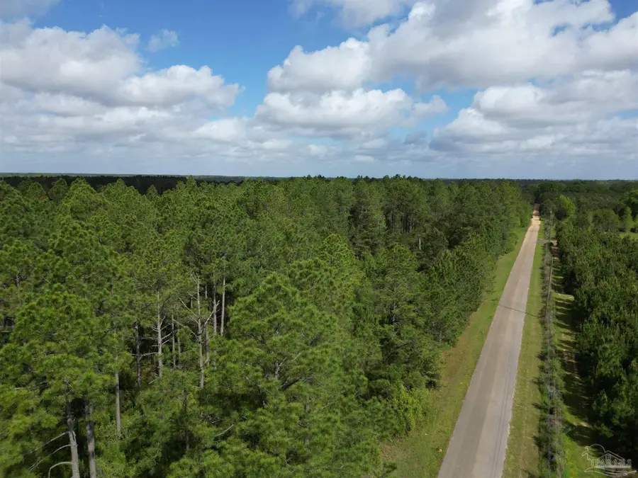 8200 BLK Grimes Rd, Century, FL 32535 - #3