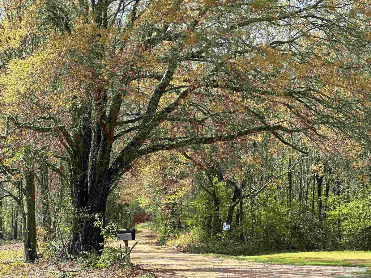 Parcel G Lett Rd, Frisco City, AL 36445 - #1