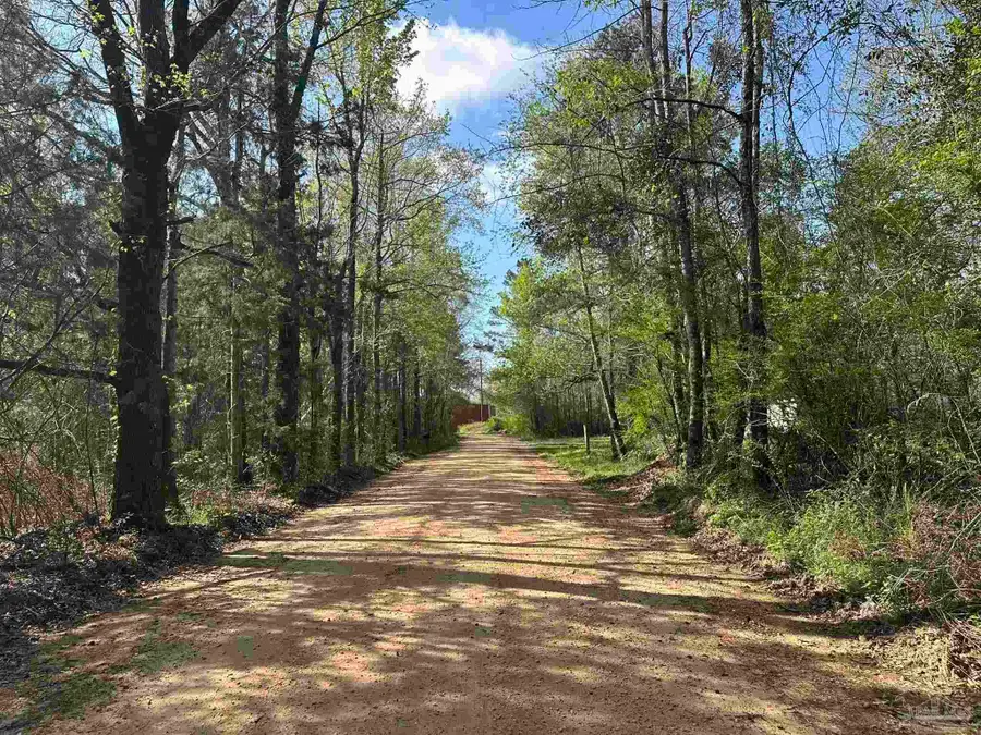 Parcel G Lett Rd, Frisco City, AL 36445 - #3