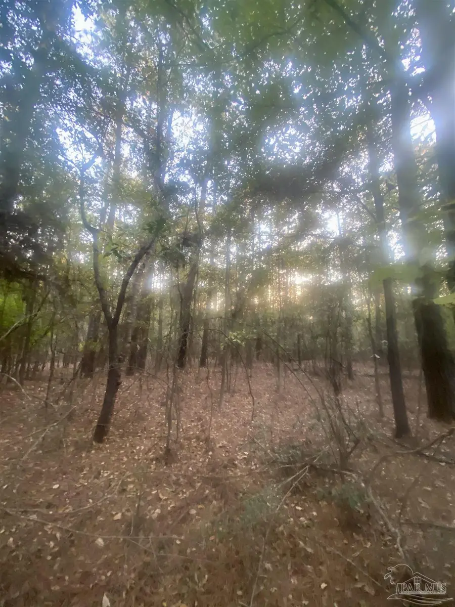 13 acres Hwy 4, Jay, FL 32565 - #3