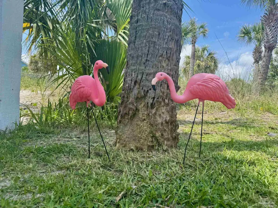 1207 Ariola Dr, Pensacola Beach, FL 32561 - #3