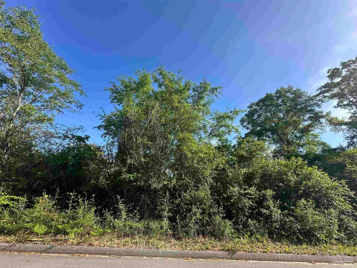 0000 Abb Pitman Rd, Milton, FL 32570 - #1