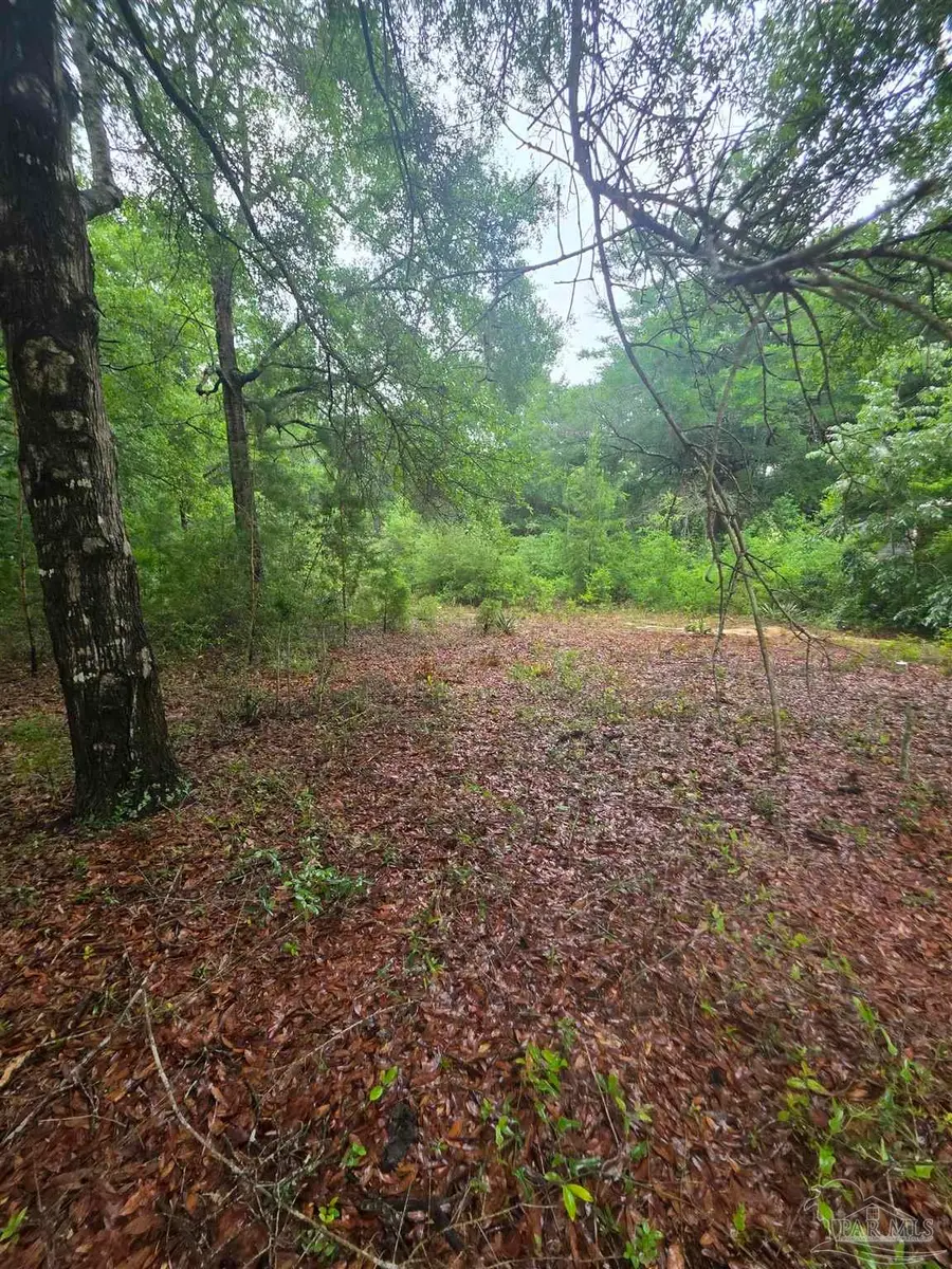 Pickens Cir, Baker, FL 32531 - #3