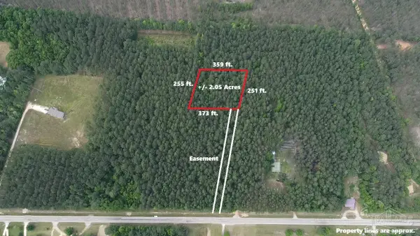 11000 Block Hwy 59, Uriah, AL 36480