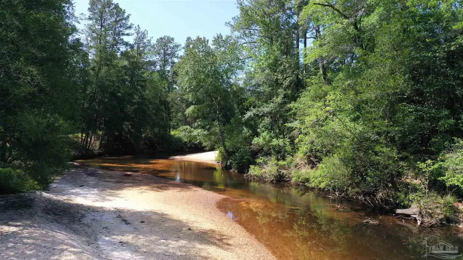 Lot 22 Creek Adventures Ln, Flomaton, AL 36441 - #3