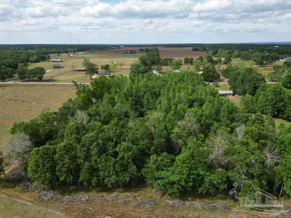 Parcel B 2000 Molino Rd, Molino, FL 32577