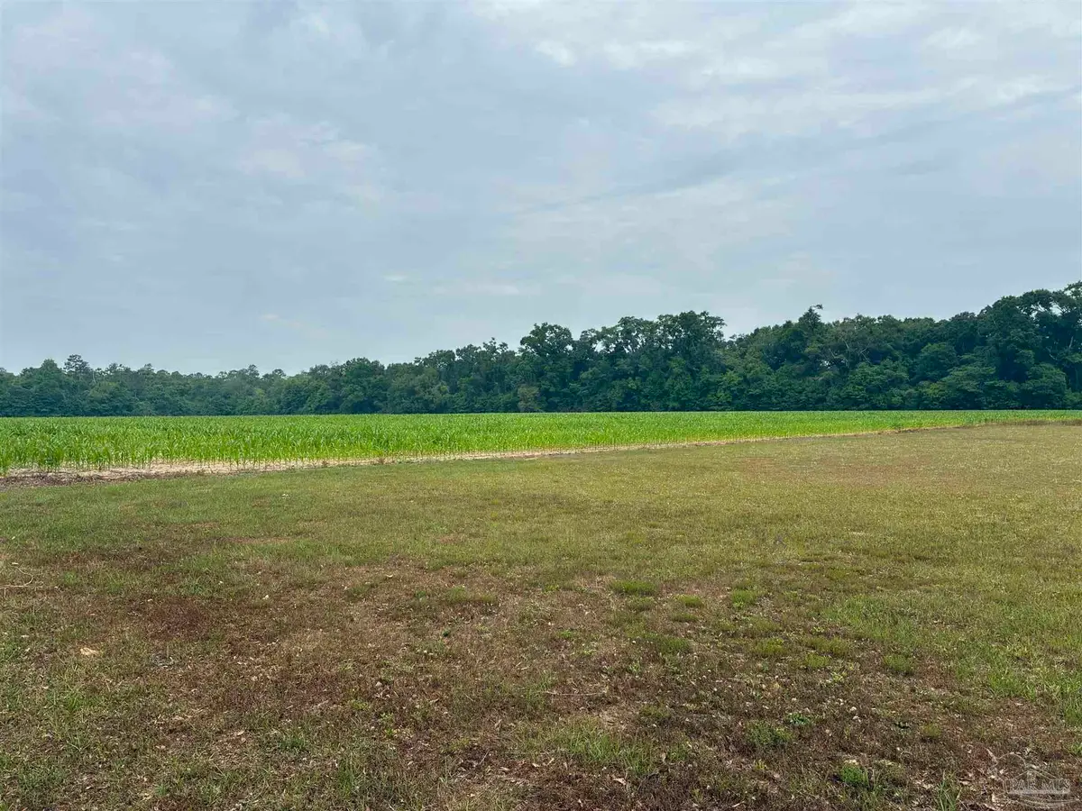 6784 Neal Kennington Rd, Milton, FL 32570 - #1