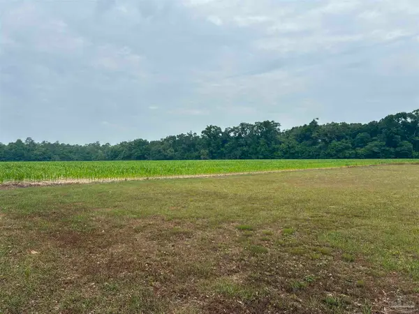 6784 Neal Kennington Rd, Milton, FL 32570