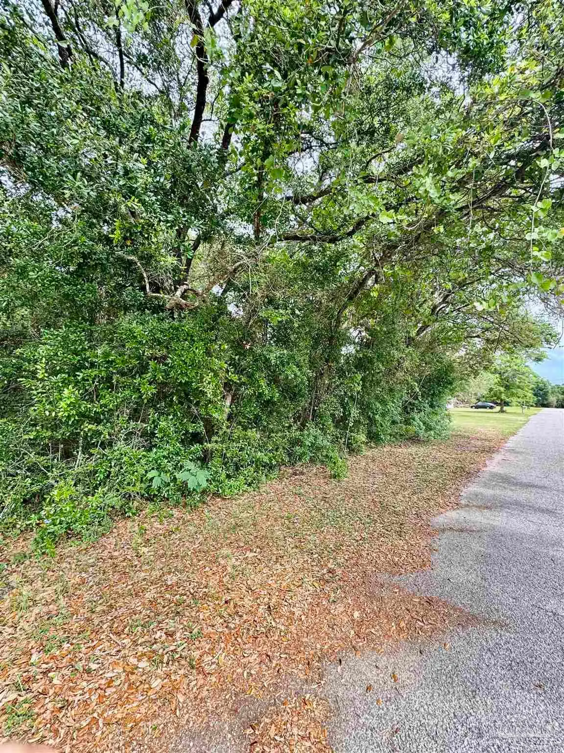 100 BLK Newman Ave, Pensacola, FL 32507 - #1