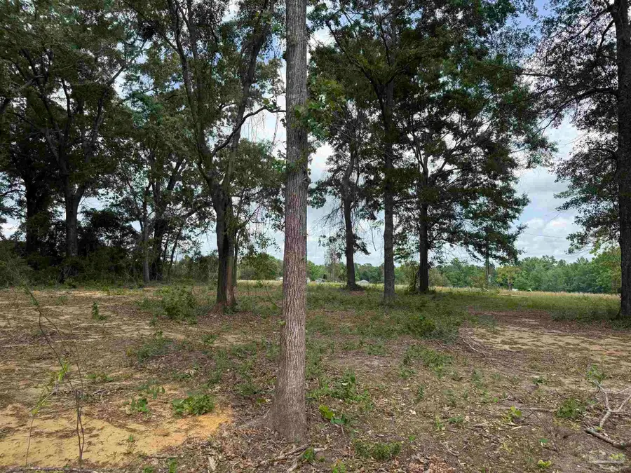 3308 Deloach Ln, Milton, FL 32570 - #2