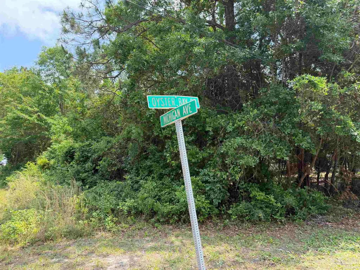 Michigan Ave, Bagdad, FL 32583 - #1