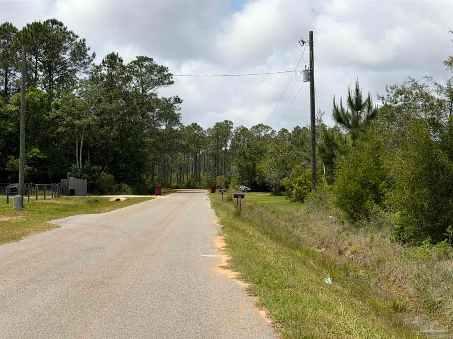 Michigan Ave, Bagdad, FL 32583 - #2