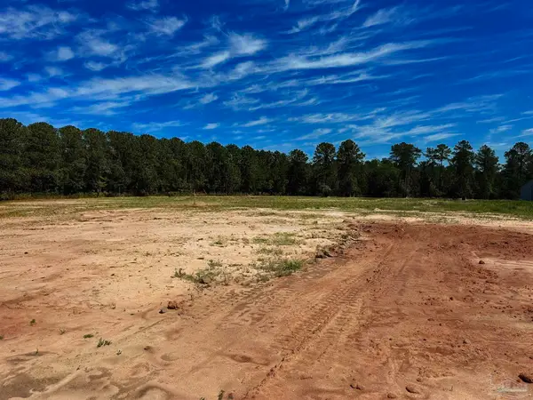 Lot 2 0 T Bridge Rd, Red Level, AL 36474