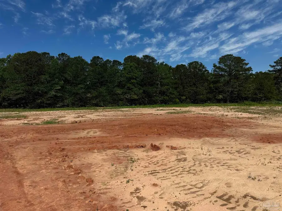 Lot 2 0 T Bridge Rd, Red Level, AL 36474 - #2
