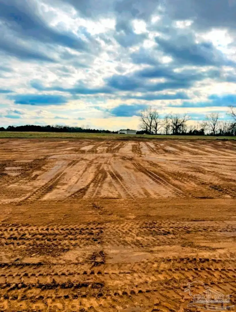 Lot 2 0 T Bridge Rd, Red Level, AL 36474 - #3