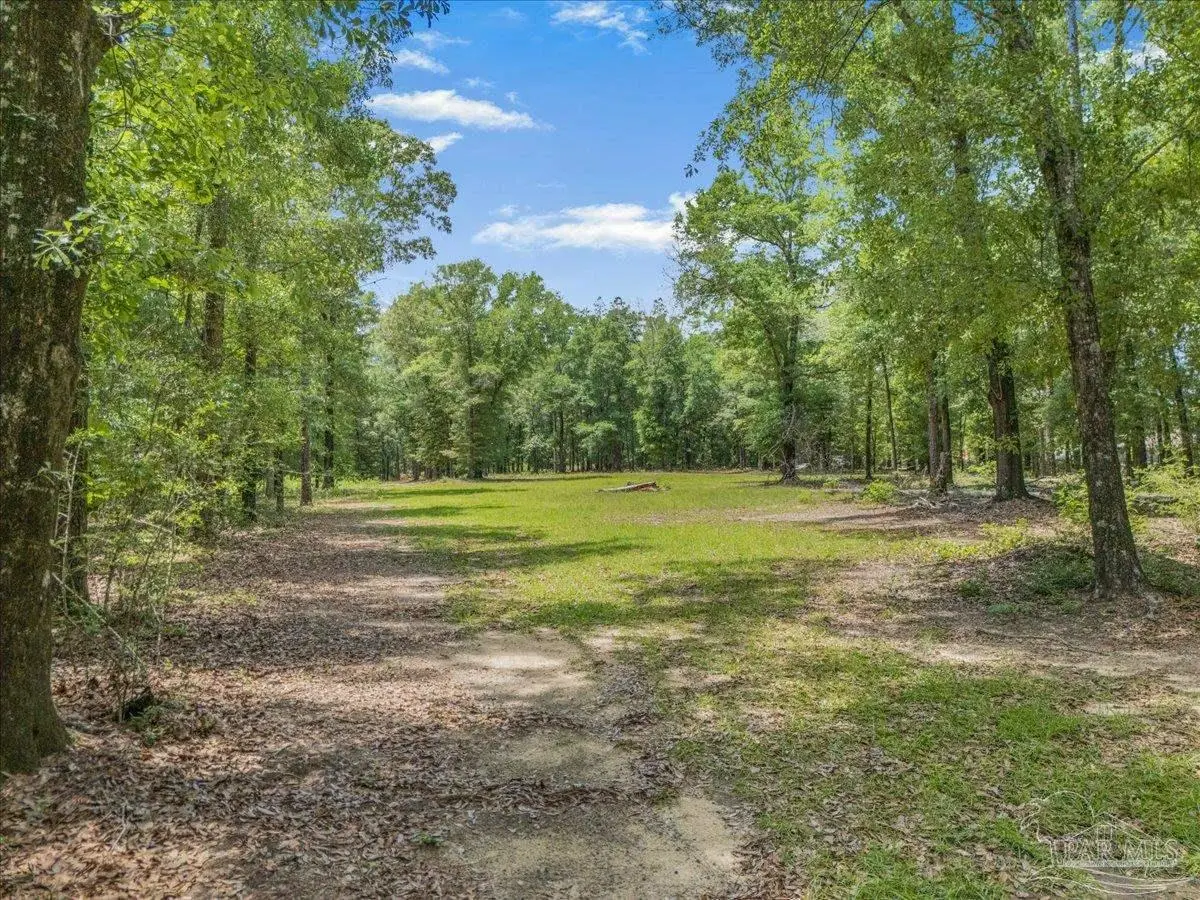 1 Pleasant Grove Rd, Jay, FL 32565 - #1