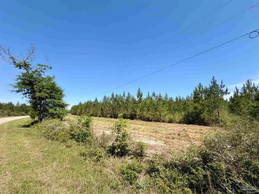 0000 Mineral Springs Rd, Jay, FL 32565 - #2