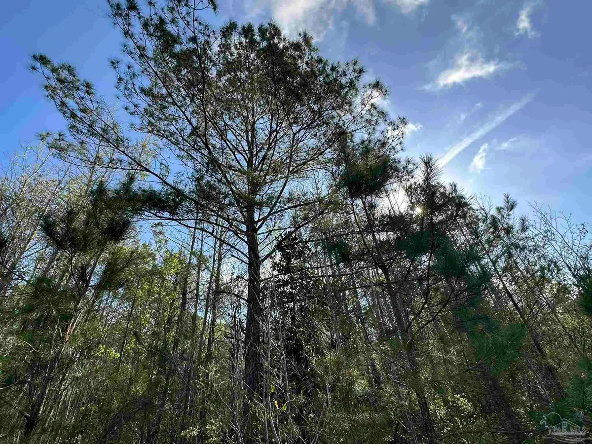 Lot E Snider Rd, Frisco City, AL 36445 - #1