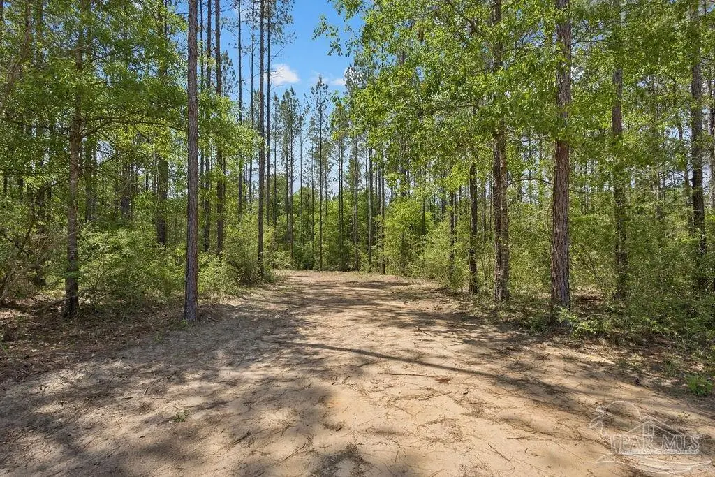 11.42 Acres Edge Forest Way, Pace, FL 32571 - #1