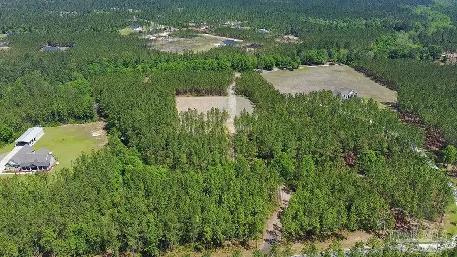11.42 Acres Edge Forest Way, Pace, FL 32571 - #3