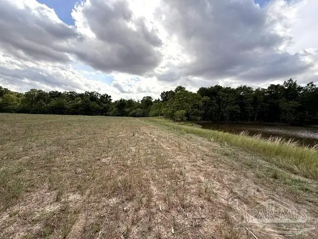 Lot 2 & 3 Tungoil Rd, Walnut Hill, FL 32568 - #3