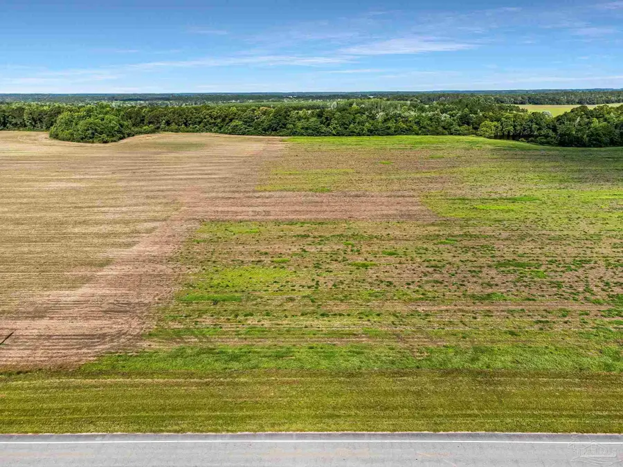 Lot 4 Hwy 97, Walnut Hill, FL 32568 - #3