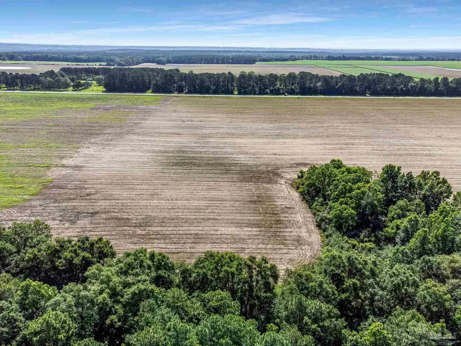 Lot 5 & 6 Hwy 97, Walnut Hill, FL 32568 - #3