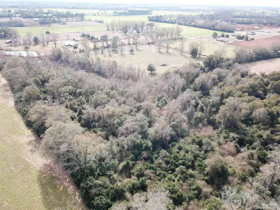 Lot 1 Hwy 4, Jay, FL 32565 - #2