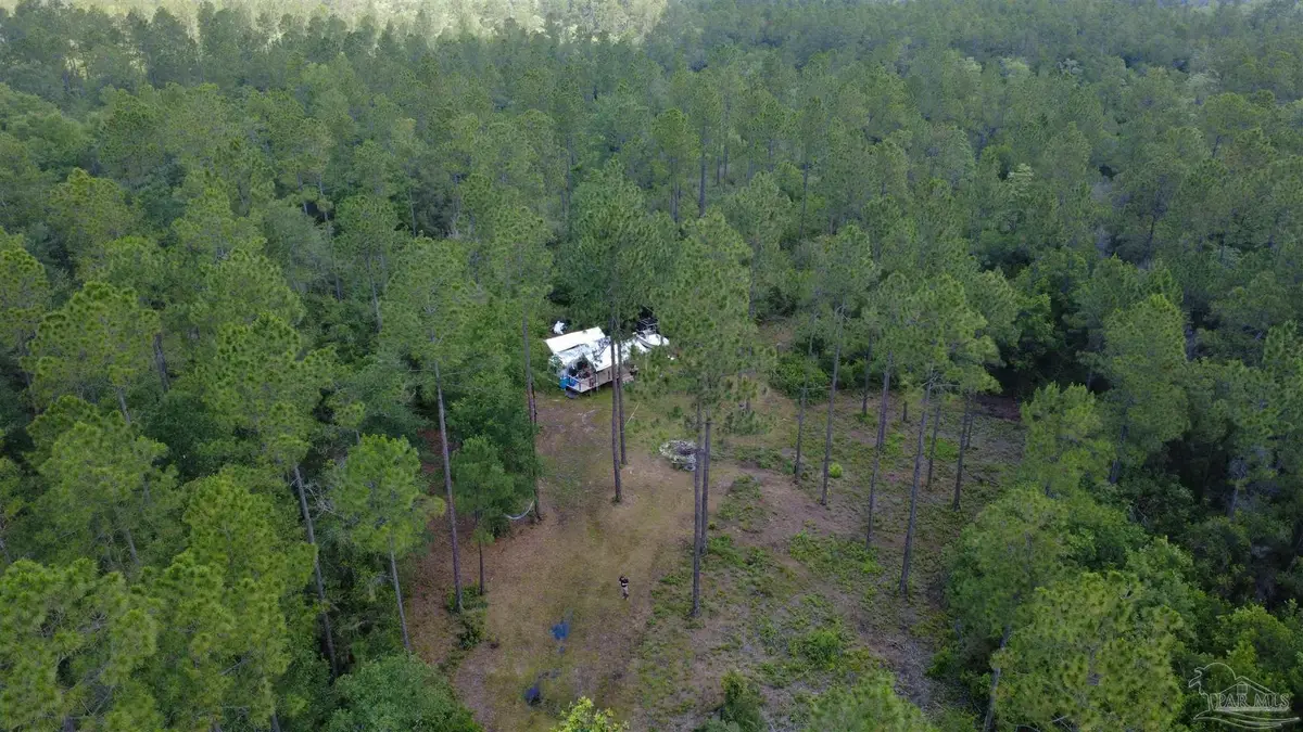 820 Meander Creek Ln, Laurel Hill, FL 32567 - #1