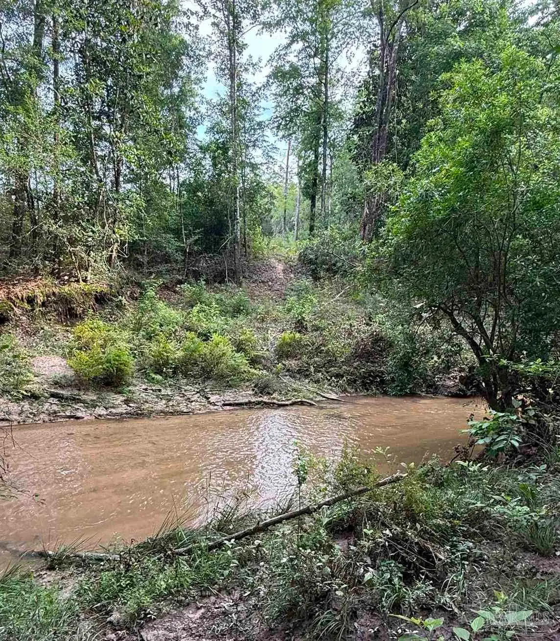 0100 Mineral Springs Rd, Jay, FL 32565 - #1