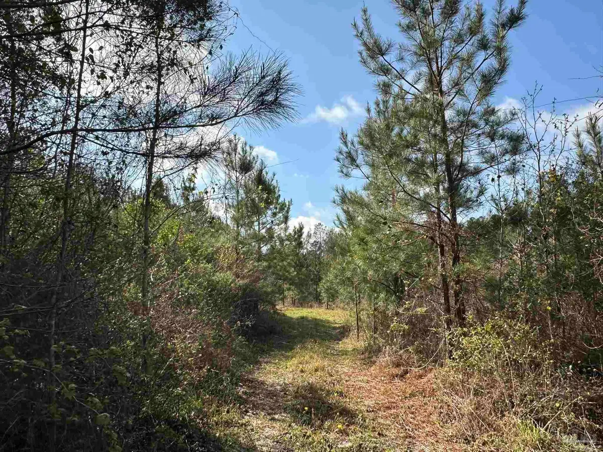 15 AC Snider Rd, Frisco City, AL 36445 - #1