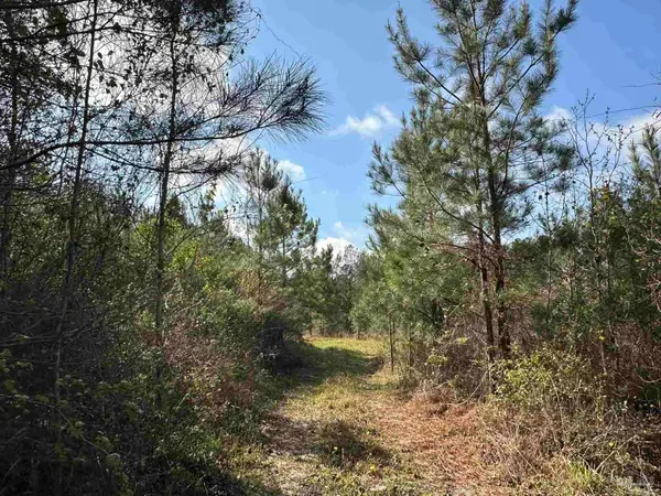 15 AC Snider Rd, Frisco City, AL 36445