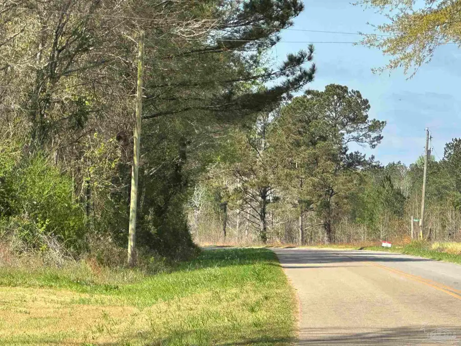 15 AC Snider Rd, Frisco City, AL 36445 - #3