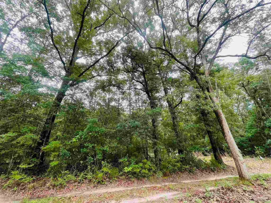 1234 Hutto Parker Rd, Holt, FL 32564 - #2