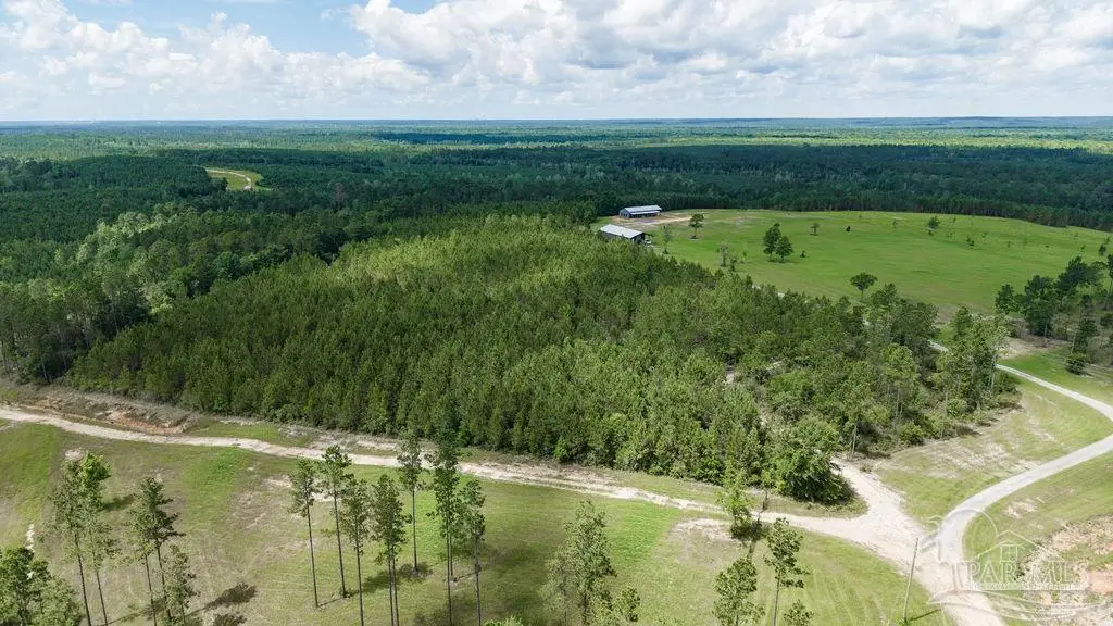 30 Acres Treetop Ridge Dr, Pace, FL 32571 - #1