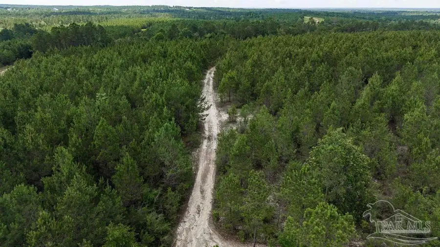30 Acres Treetop Ridge Dr, Pace, FL 32571 - #3